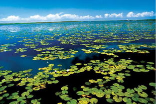 你的車(chē)除了用來(lái)上下班,還能做這件事 別錯(cuò)過(guò)機(jī)會(huì)