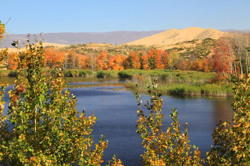 新疆資源生態(tài)環(huán)境數(shù)據(jù)庫(kù) 構(gòu)建綠色絲路數(shù)字基石