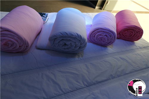 雙棲醉手工棉花被 來自新疆的成都高級(jí)環(huán)保棉被